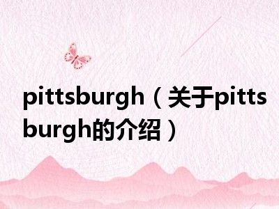 pittsburgh（关于pittsburgh的介绍）