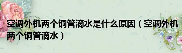 空调外机两个铜管滴水是什么原因（空调外机两个铜管滴水）