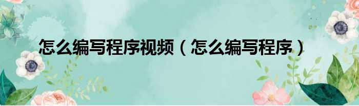 怎么编写程序视频（怎么编写程序）