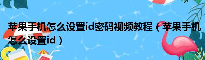 苹果手机怎么设置id密码视频教程（苹果手机怎么设置id）