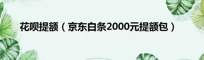 花呗提额（京东白条2000元提额包）