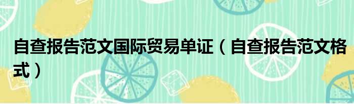 自查报告范文国际贸易单证（自查报告范文格式）