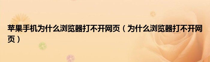 苹果手机为什么浏览器打不开网页（为什么浏览器打不开网页）