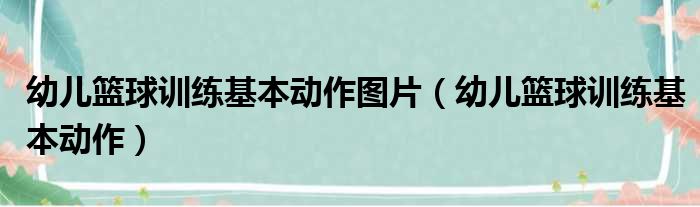 幼儿篮球训练基本动作图片（幼儿篮球训练基本动作）