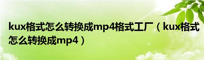 kux格式怎么转换成mp4格式工厂（kux格式怎么转换成mp4）