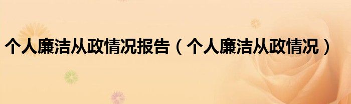 个人廉洁从政情况报告（个人廉洁从政情况）