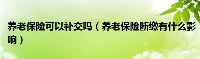 养老保险可以补交吗（养老保险断缴有什么影响）