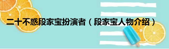 二十不惑段家宝扮演者（段家宝人物介绍）