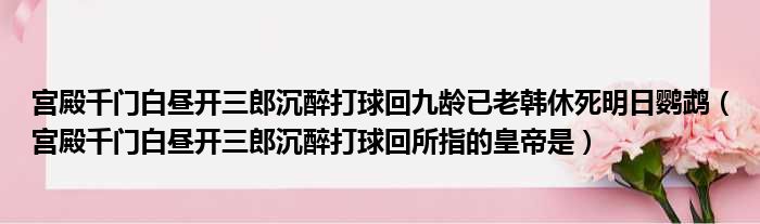 宫殿千门白昼开三郎沉醉打球回九龄已老韩休死明日鹦鹉（宫殿千门白昼开三郎沉醉打球回所指的皇帝是）