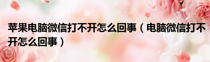 苹果电脑微信打不开怎么回事（电脑微信打不开怎么回事）