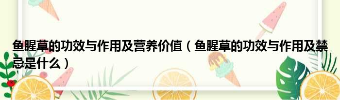 鱼腥草的功效与作用及营养价值（鱼腥草的功效与作用及禁忌是什么）