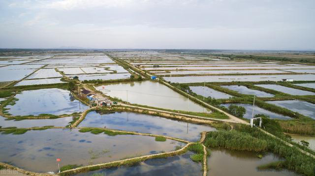 现在回家搞养殖怎么样（为什么回家搞养殖都亏了）(图3)