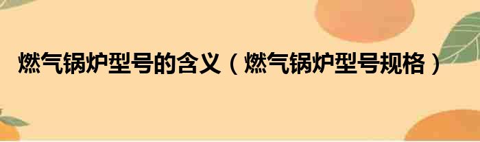 燃气锅炉型号的含义（燃气锅炉型号规格）