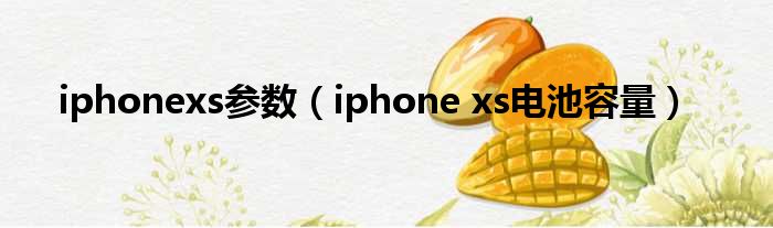 iphonexs参数（iphone xs电池容量）