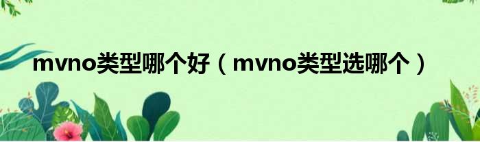 mvno类型哪个好（mvno类型选哪个）