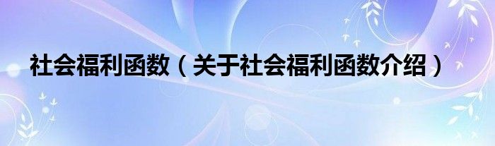  社会福利函数（关于社会福利函数介绍）