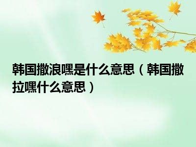 韩国撒浪嘿是什么意思（韩国撒拉嘿什么意思）