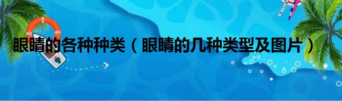 眼睛的各种种类（眼睛的几种类型及图片）