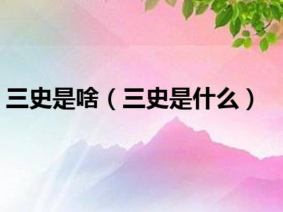 三史是啥（三史是什么）