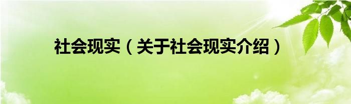  社会现实（关于社会现实介绍）