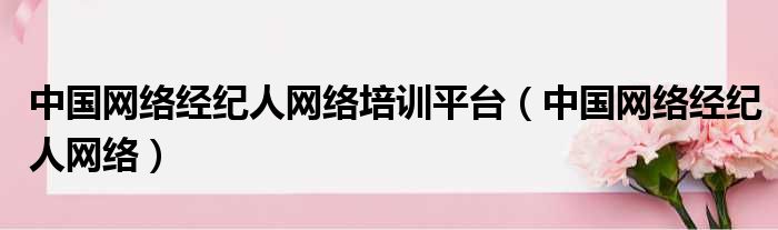 中国网络经纪人网络培训平台（中国网络经纪人网络）