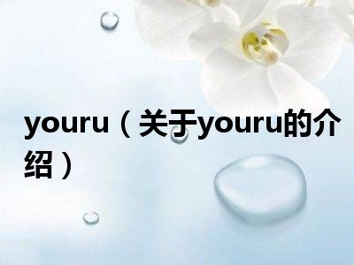 youru（关于youru的介绍）