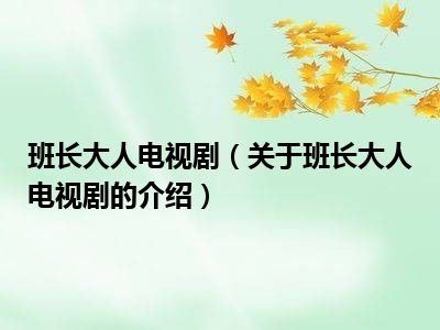 班长大人电视剧（关于班长大人电视剧的介绍）