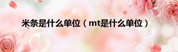 米条是什么单位（mt是什么单位）