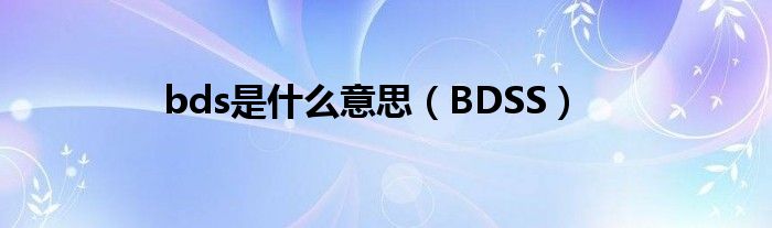  bds是什么意思（BDSS）