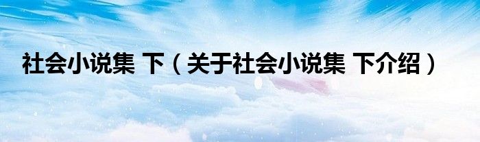  社会小说集 下（关于社会小说集 下介绍）