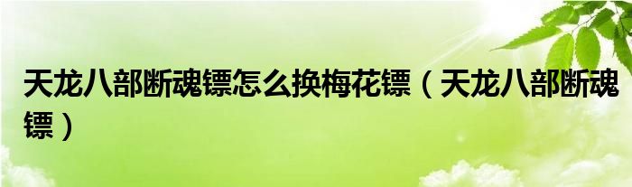  天龙八部断魂镖怎么换梅花镖（天龙八部断魂镖）