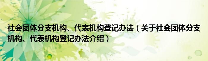  社会团体分支机构、代表机构登记办法（关于社会团体分支机构、代表机构登记办法介绍）