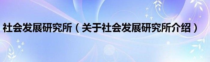  社会发展研究所（关于社会发展研究所介绍）