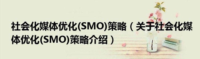  社会化媒体优化(SMO)策略（关于社会化媒体优化(SMO)策略介绍）