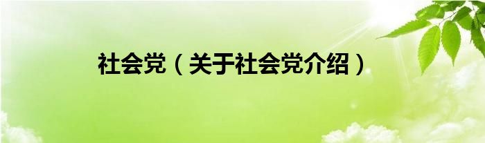  社会党（关于社会党介绍）