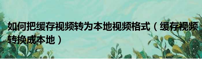 如何把缓存视频转为本地视频格式（缓存视频转换成本地）