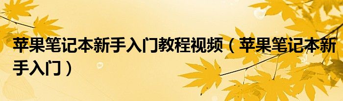 苹果笔记本新手入门教程视频（苹果笔记本新手入门）