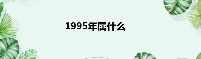 1995年属什么