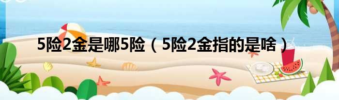 5险2金是哪5险（5险2金指的是啥）