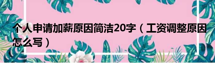 个人申请加薪原因简洁20字（工资调整原因怎么写）