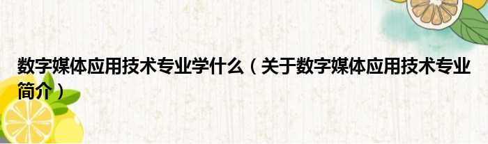 数字媒体应用技术专业学什么（关于数字媒体应用技术专业简介）