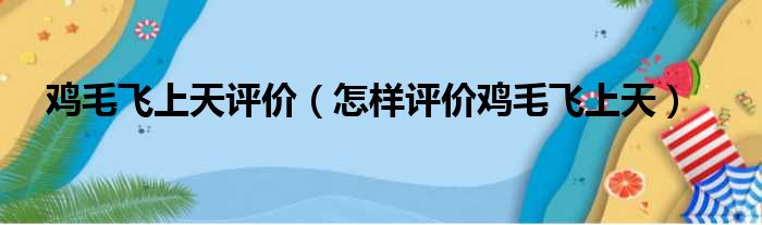 鸡毛飞上天评价（怎样评价鸡毛飞上天）