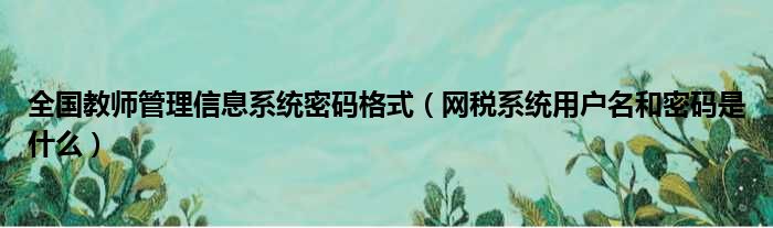 全国教师管理信息系统密码格式（网税系统用户名和密码是什么）