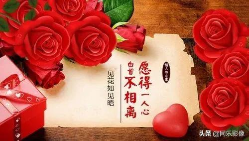 2月14日的含义（2月14日是什么日子）(图3)