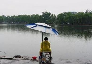 东南风钓鱼好钓鱼吗（在东南风天气下钓鱼是否容易）