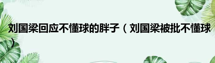 刘国梁回应不懂球的胖子（刘国梁被批不懂球）