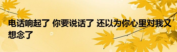  电话响起了 你要说话了 还以为你心里对我又想念了