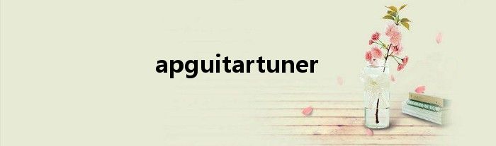  apguitartuner