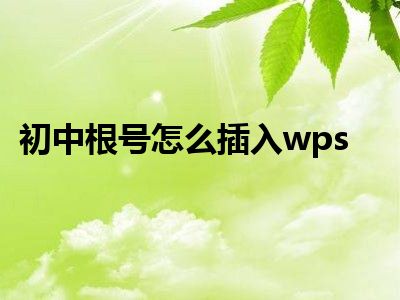 初中根号怎么插入wps