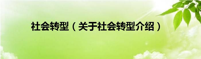  社会转型（关于社会转型介绍）